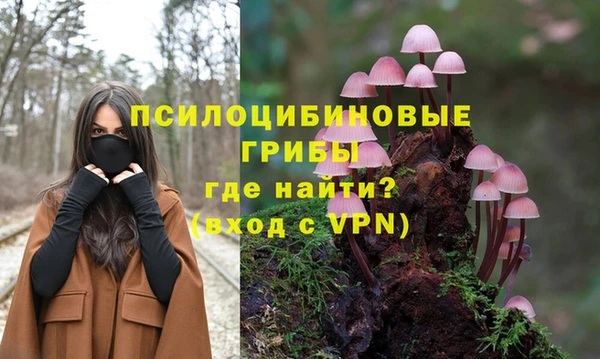 дмт Вязьма