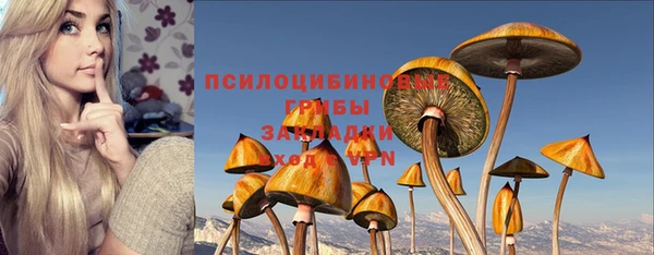 первитин Вяземский