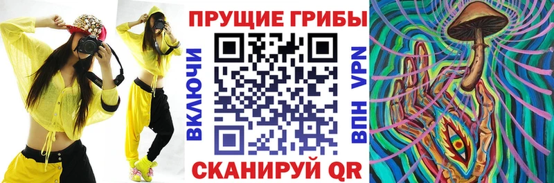 закладка  Кадников  Галлюциногенные грибы Cubensis 