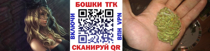 kraken онион  Кадников  Марихуана сатива 